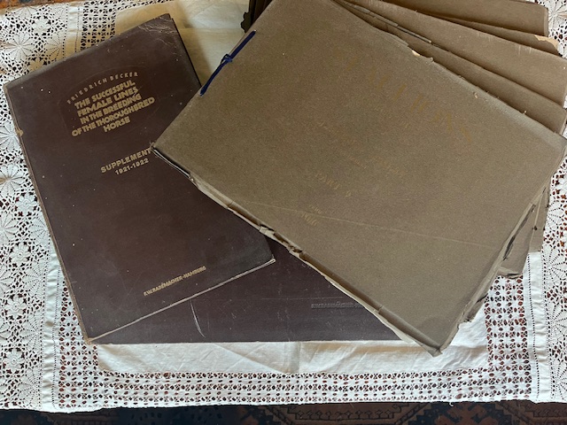 Books by Clarence Hailey & Friedrich Becker